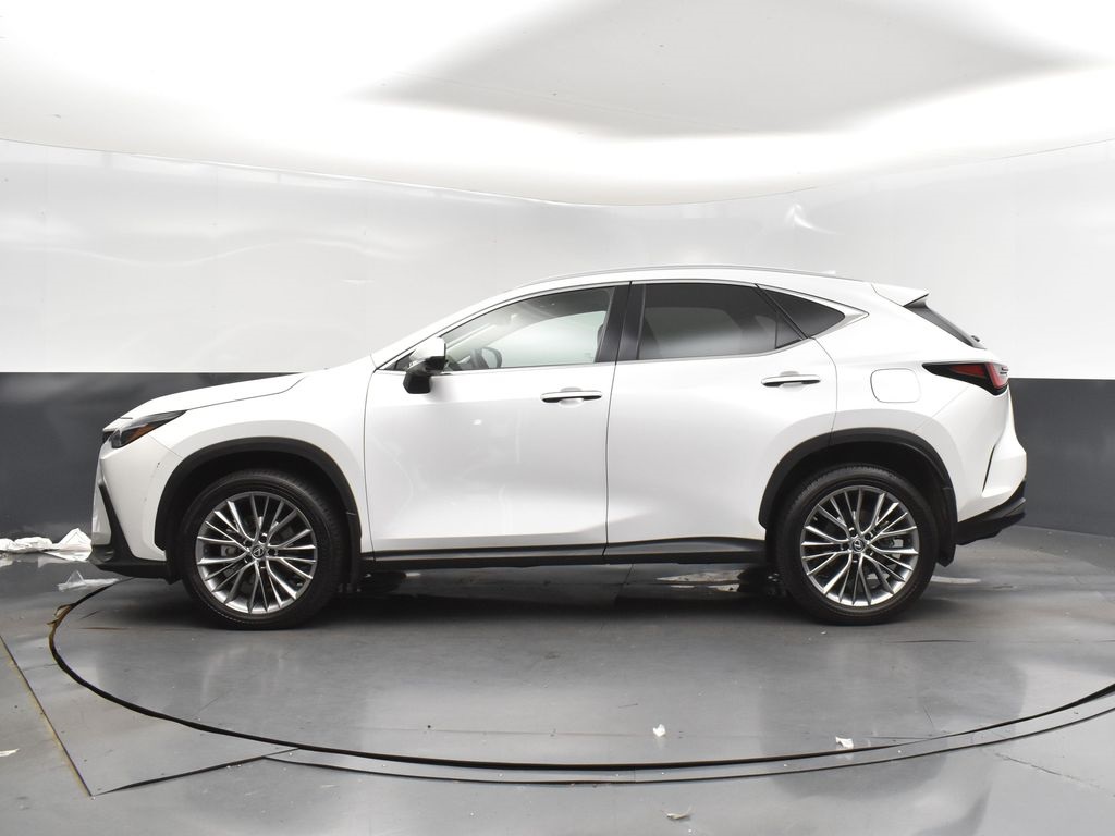 2023 Lexus NX 350 Luxury photo 4