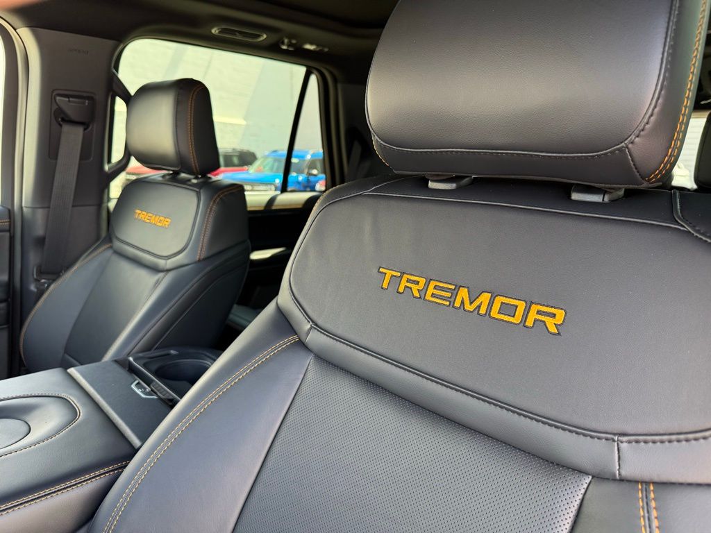 2025 Ford Expedition Platinum photo 14