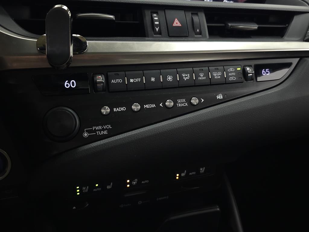 2020 Lexus ES 300h photo 29