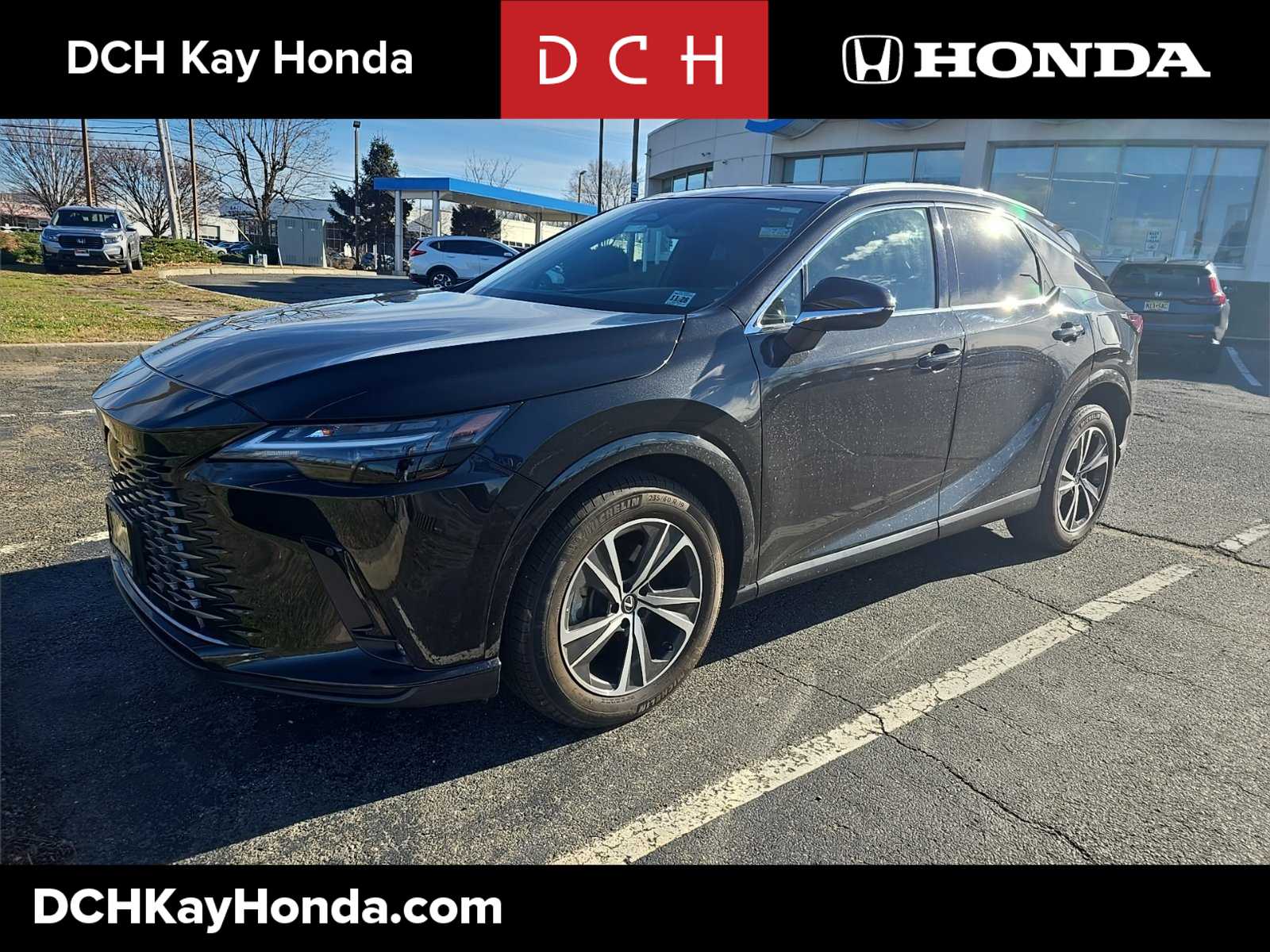 2023 Lexus RX 350's photo