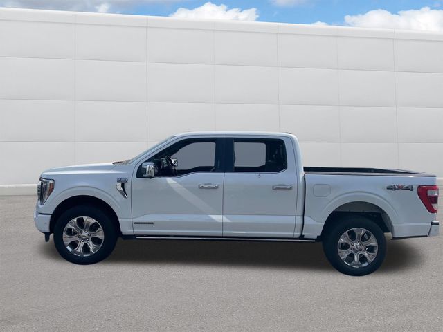 2023 Ford F-150 Platinum photo 2