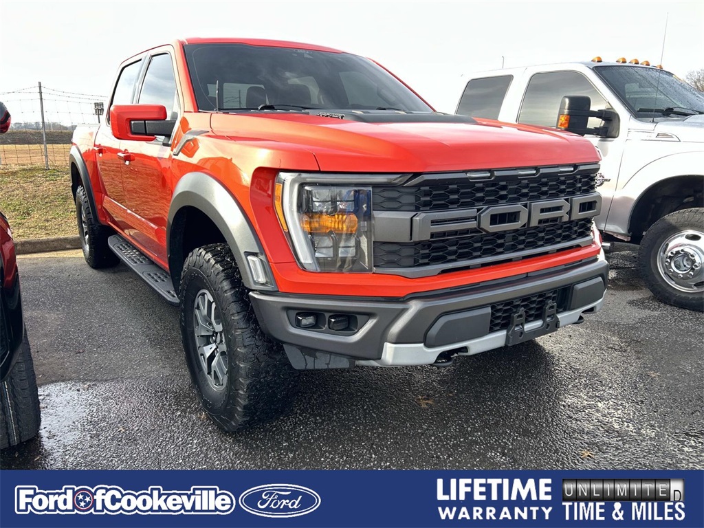 2022 Ford F-150 Raptor's photo