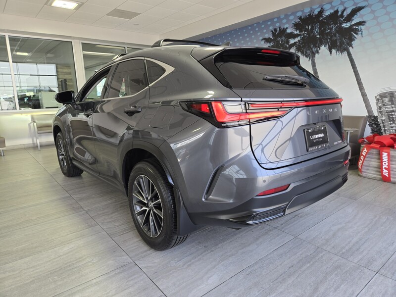2025 Lexus NX 250 Premium photo 3