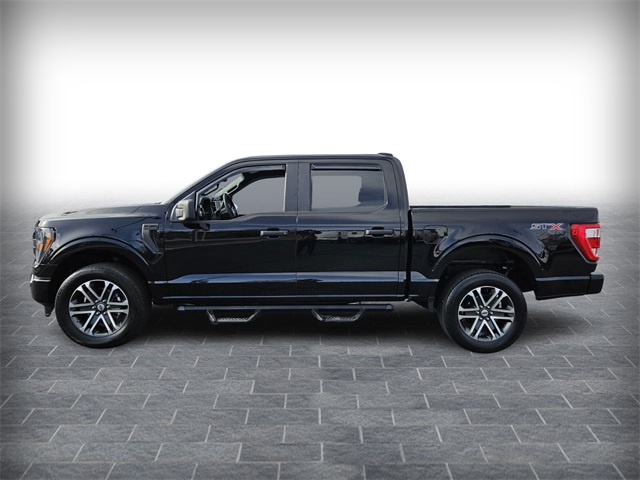 2023 Ford F-150 XL photo 4