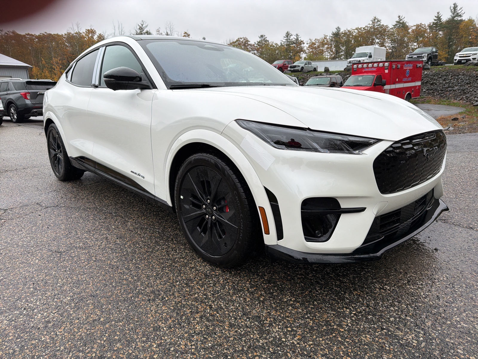 2025 Ford Mustang Mach-E GT AWD's photo