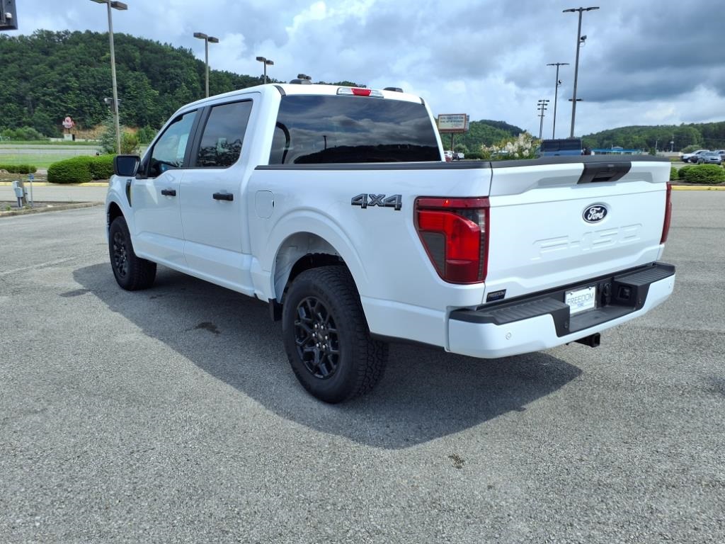 2025 Ford F-150 STX photo 3