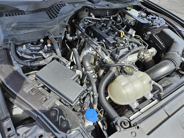 2023 Ford Mustang EcoBoost Premium photo 14