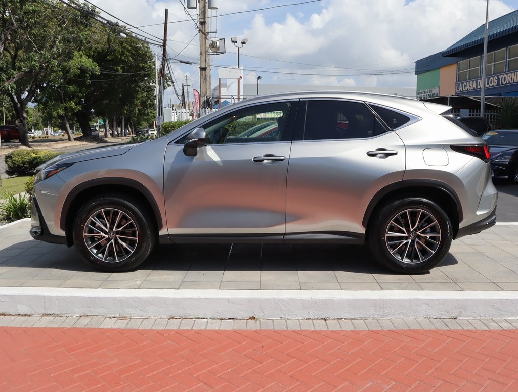 2025 Lexus NX 250 Premium photo 8