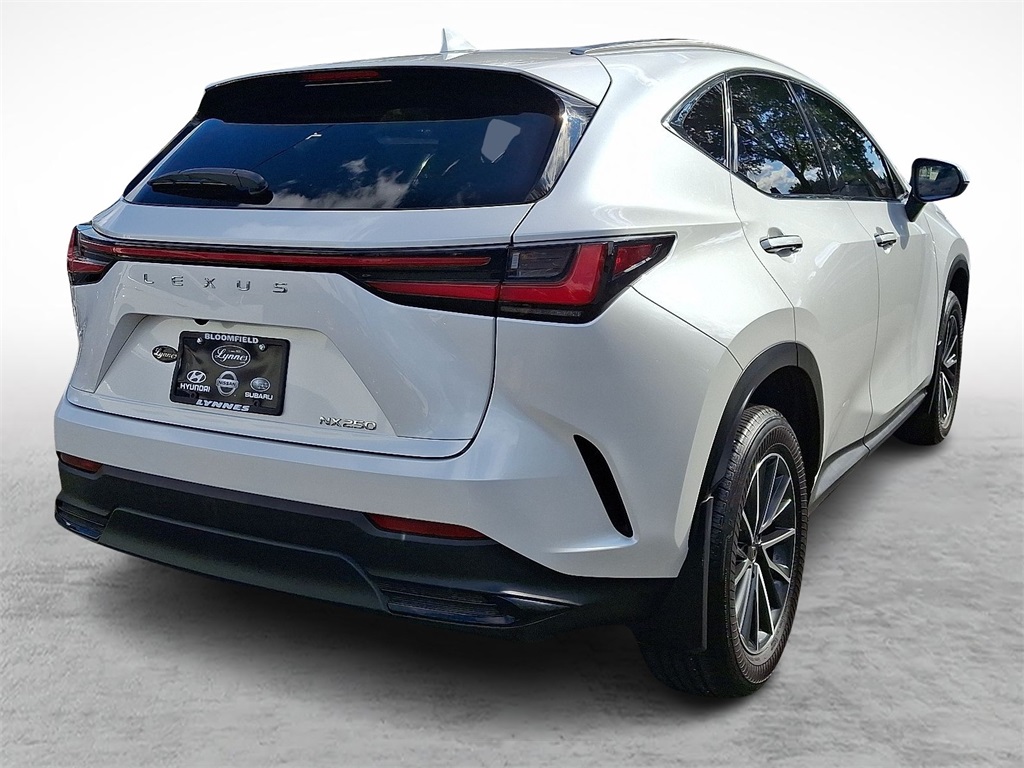 2024 Lexus NX 250 photo 10