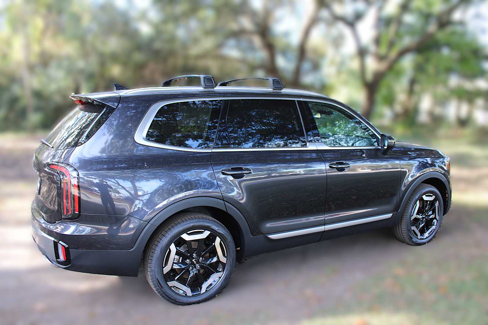 2025 Kia Telluride EX photo 3
