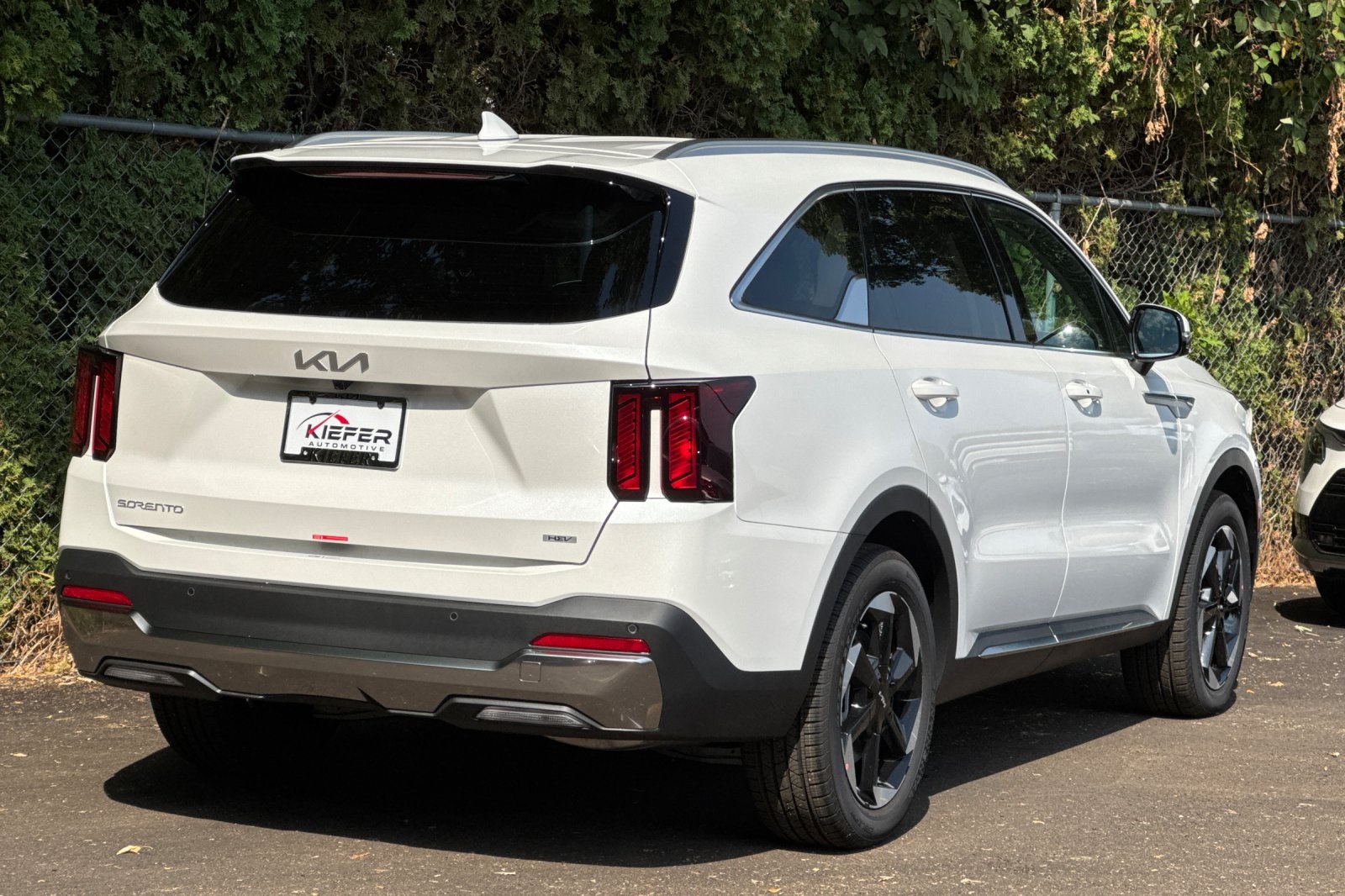 2025 Kia Sorento Hybrid EX photo 2