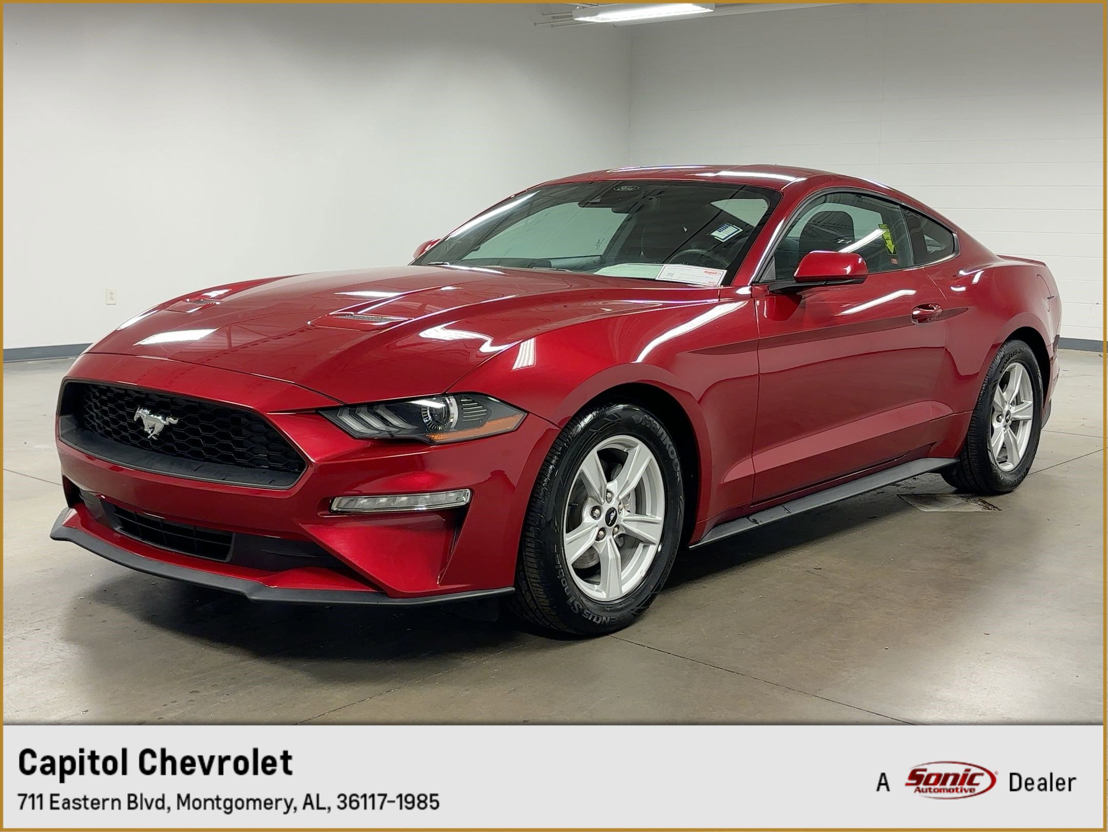 2023 Ford Mustang EcoBoost's photo