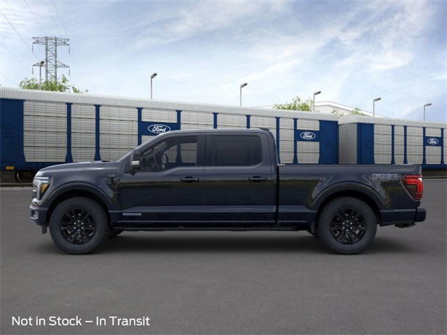 2025 Ford F-150 Platinum photo 3