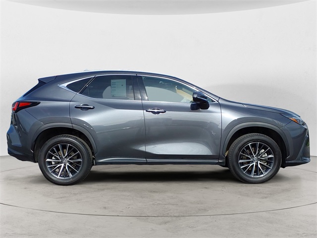 2024 Lexus NX 350h Premium photo 6