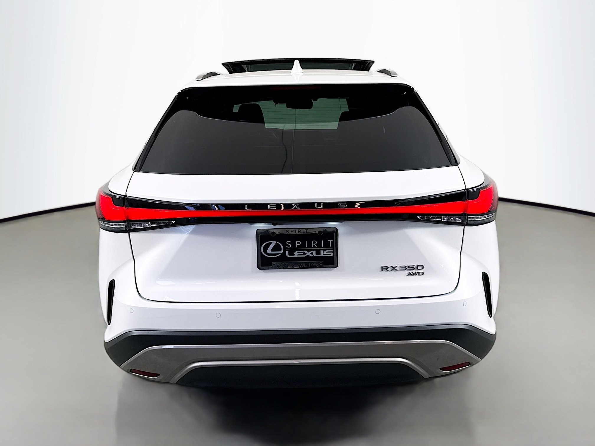 2023 Lexus RX 350 Luxury photo 6