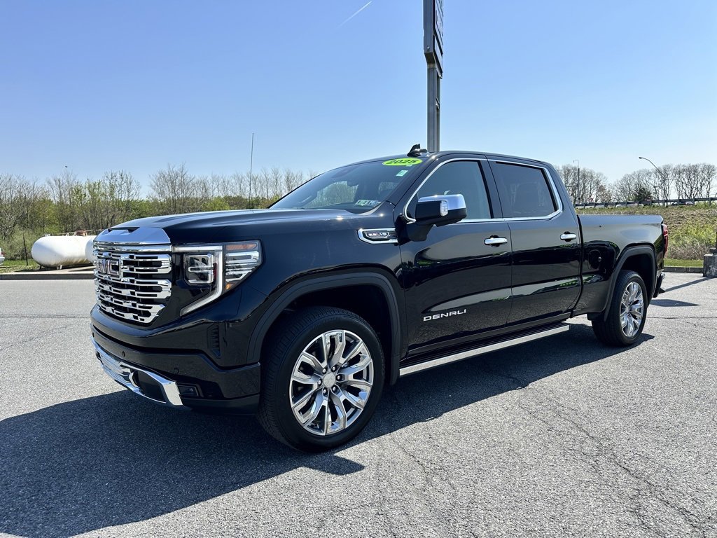 2025 Gmc Sierra 1500 Denali photo 2