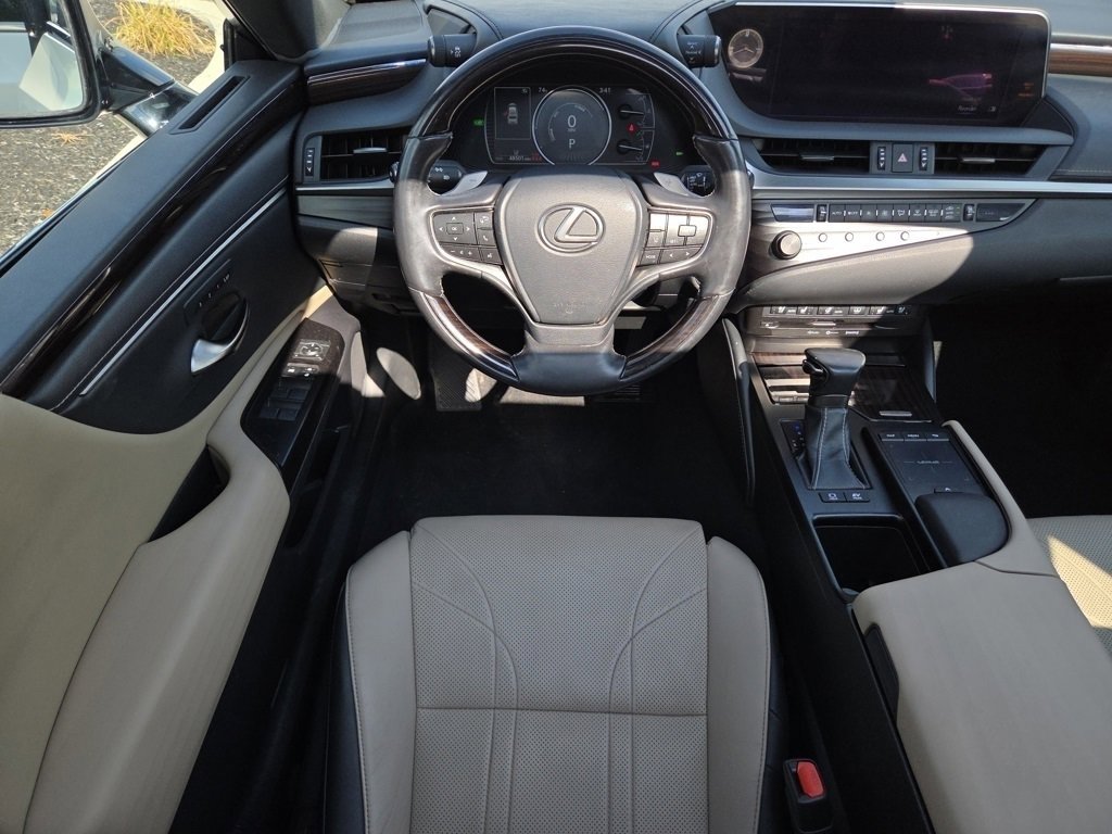 2019 Lexus ES 300h Luxury photo 4