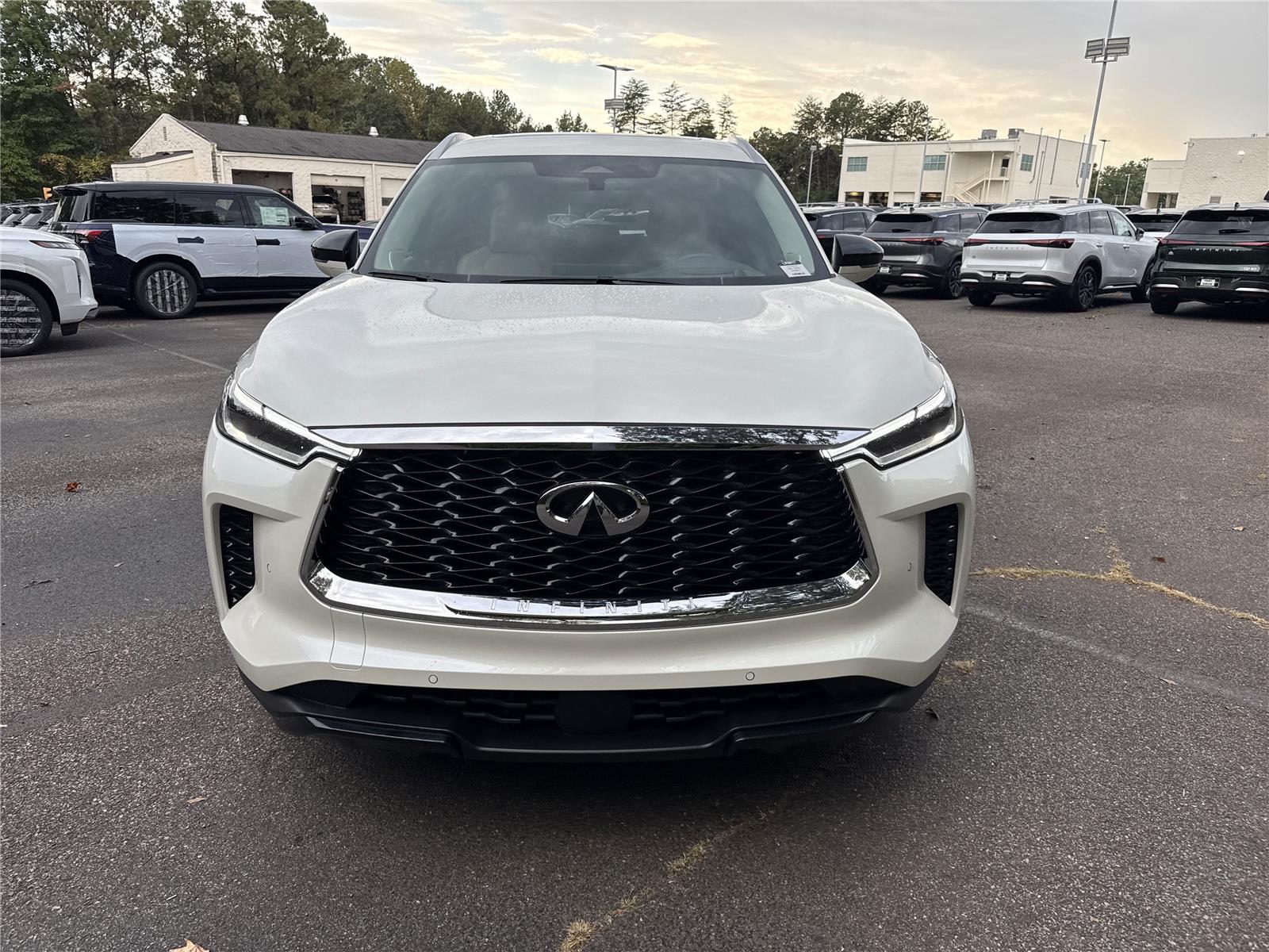 2025 Infiniti QX60 Luxe photo 3