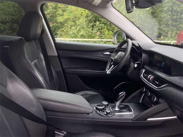 2019 Alfa Romeo Stelvio Base photo 11