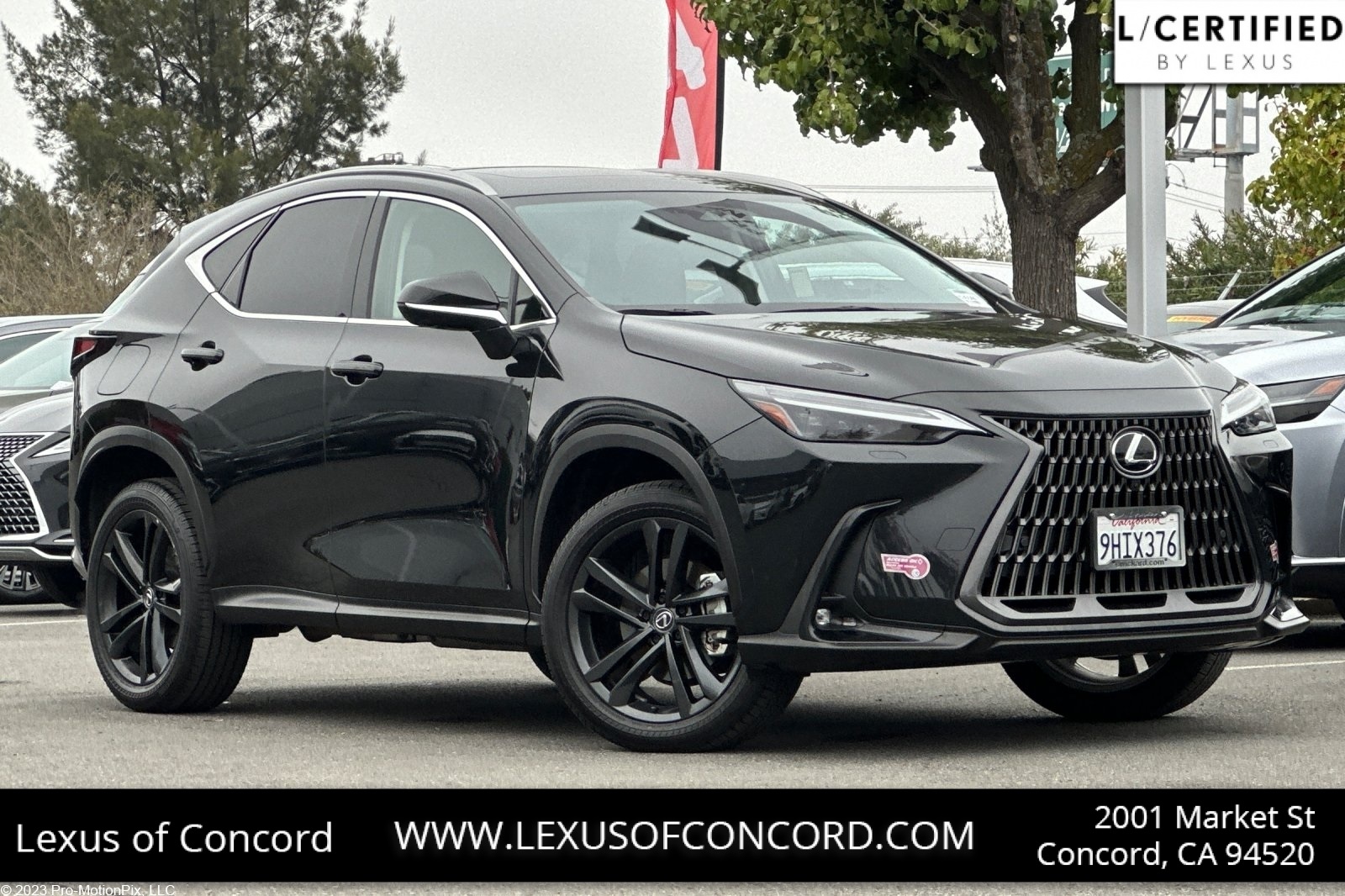 2024 Lexus NX PHEV 450h+'s photo