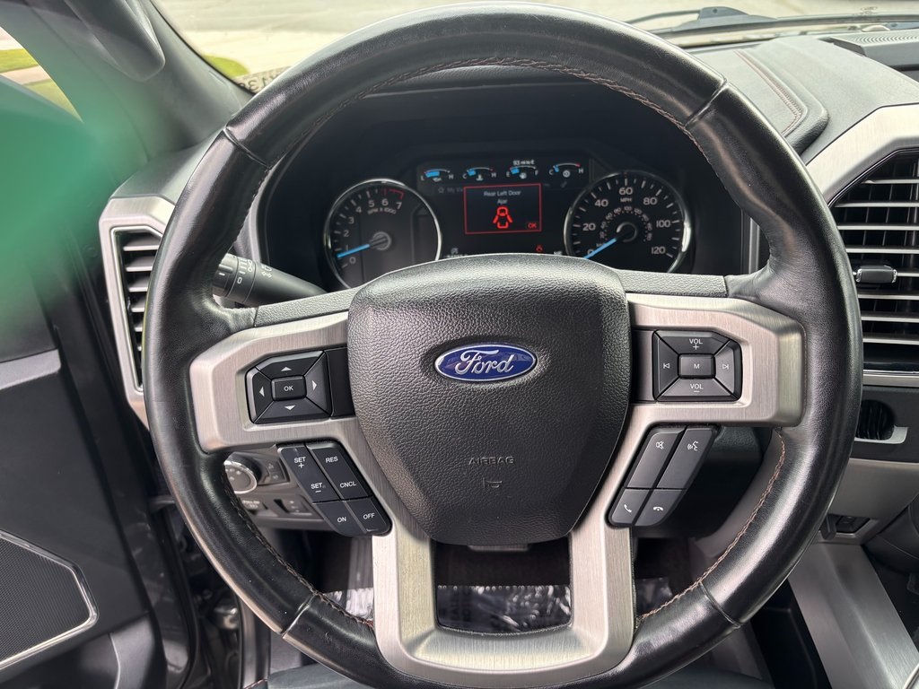 2019 Ford F-150 Platinum photo 2