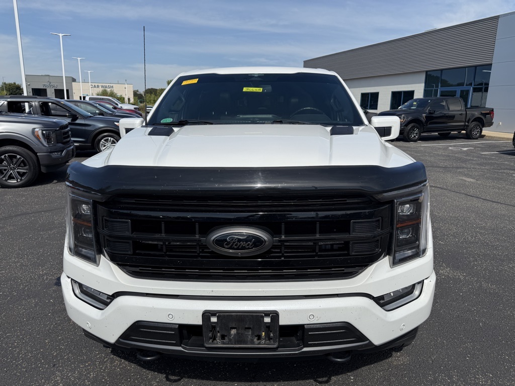 2023 Ford F-150 Platinum photo 10