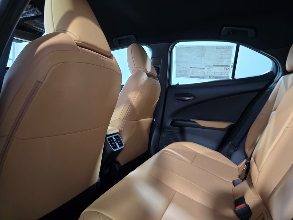 2025 Lexus UX photo 24