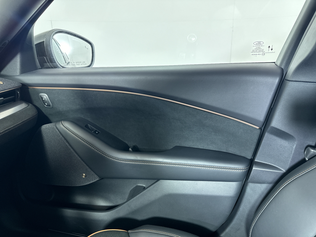 2023 Ford Mustang Mach-E GT photo 30