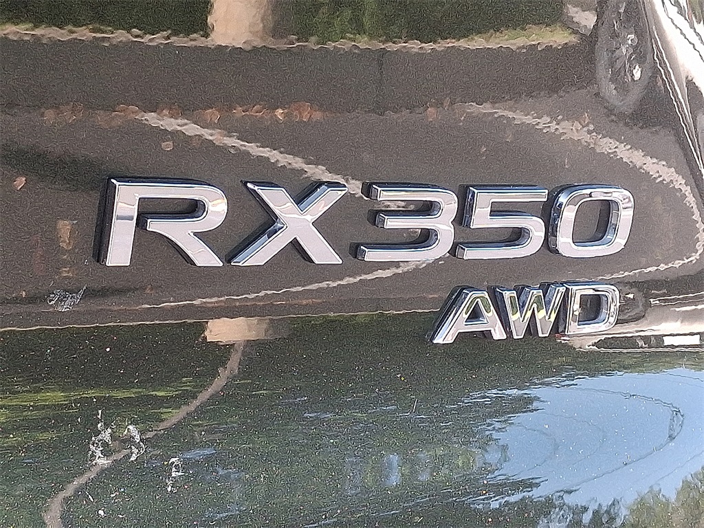 2025 Lexus RX 350 Premium photo 28