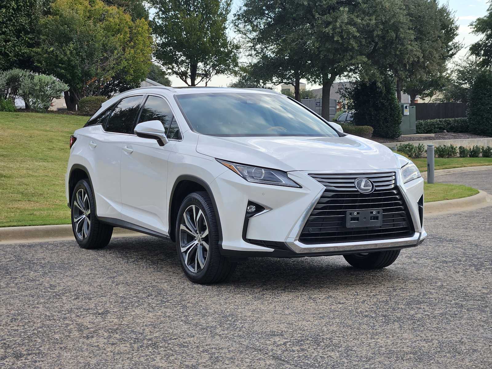 2017 Lexus RX photo 2