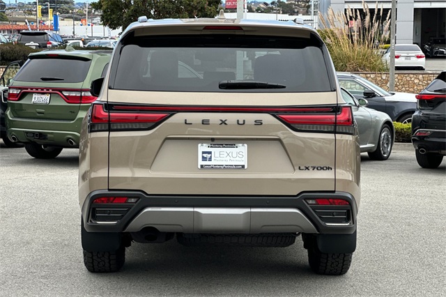 2025 Lexus LX photo 6