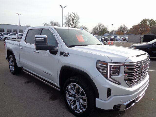 2024 Gmc Sierra 1500 Denali photo 3