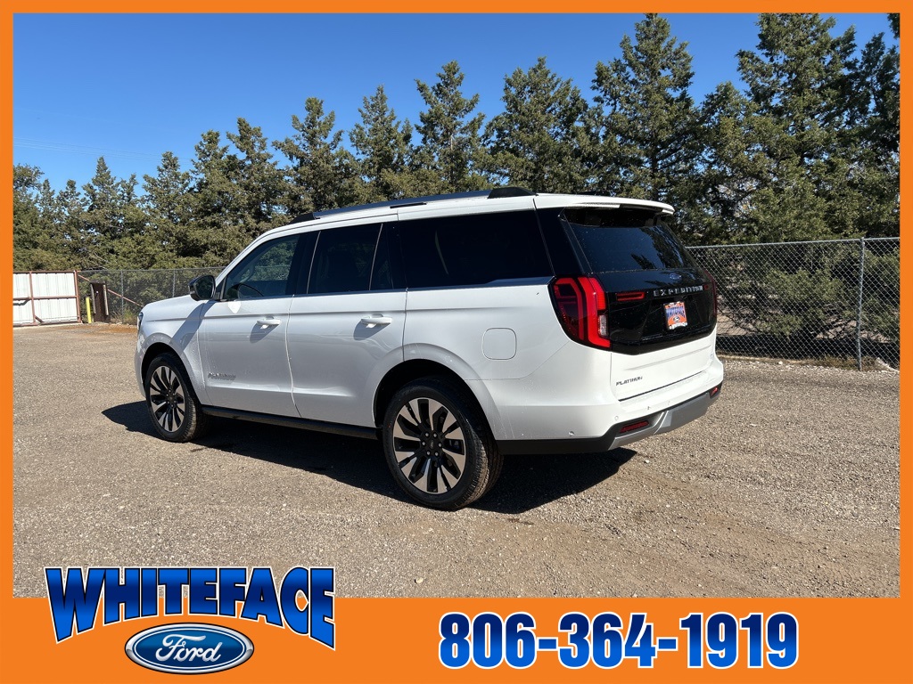 2025 Ford Expedition Platinum photo 3