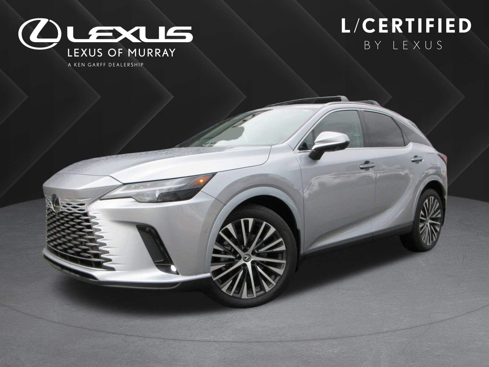 2024 Lexus RX Hybrid 350h's photo