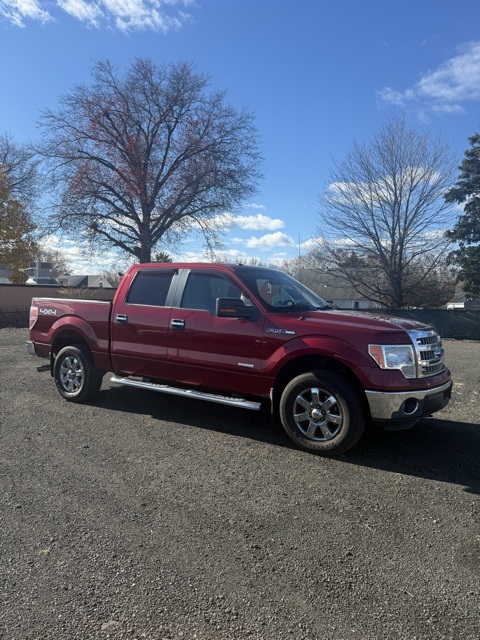 2014 Ford F-150 XLT's photo