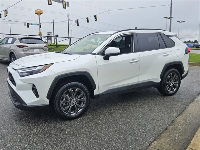 2023 Toyota RAV4 Hybrid XLE Premium photo 3