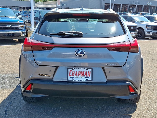 2019 Lexus UX 250h photo 3