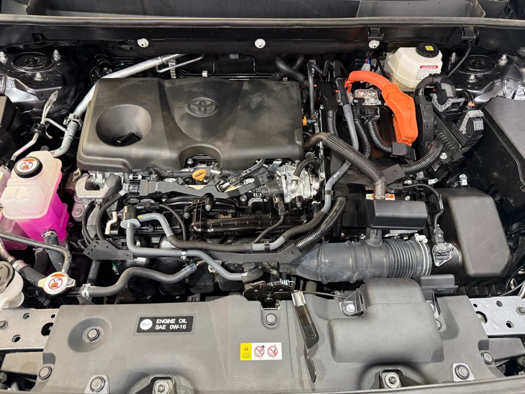 2024 Toyota RAV4 Hybrid LE photo 5