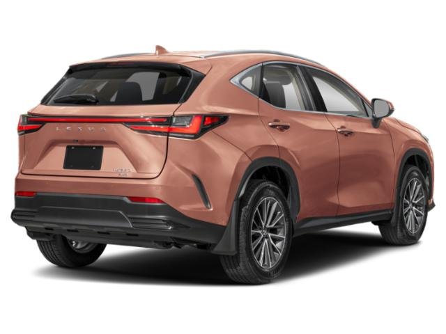 2025 Lexus NX 350 photo 2