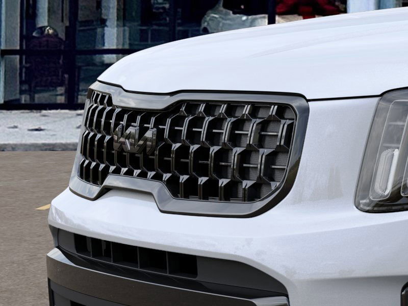 2025 Kia Telluride EX X-Line photo 10