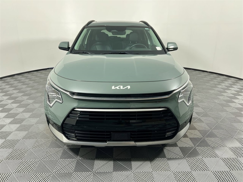 2025 Kia Niro EV Wave photo 8