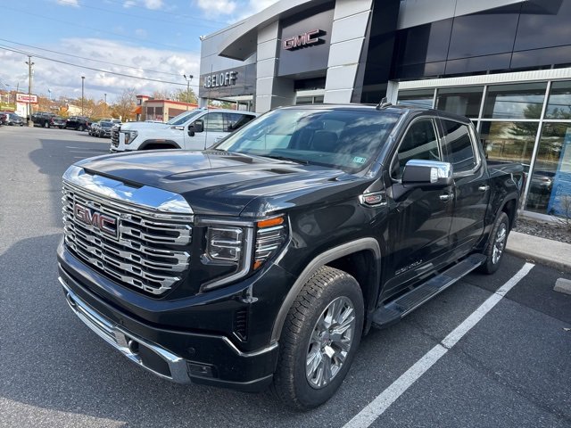 2022 Gmc Sierra 1500 Denali photo 2