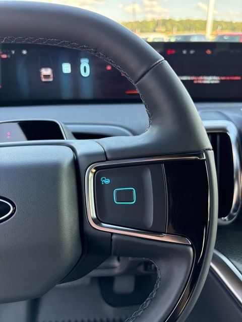 2025 Ford Expedition Platinum photo 16