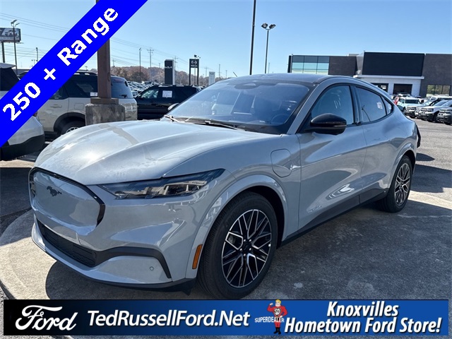 2025 Ford Mustang Mach-E Premium AWD's photo