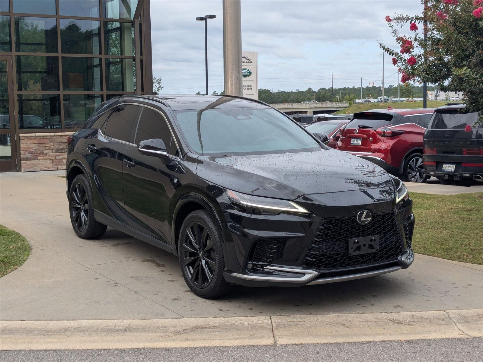 2023 Lexus RX 350 Luxury photo 3