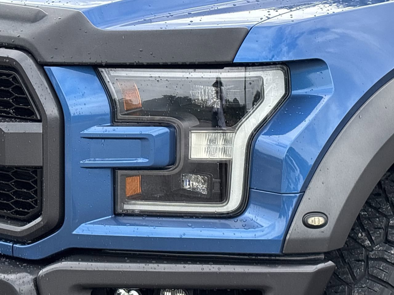 2020 Ford F-150 Raptor photo 6