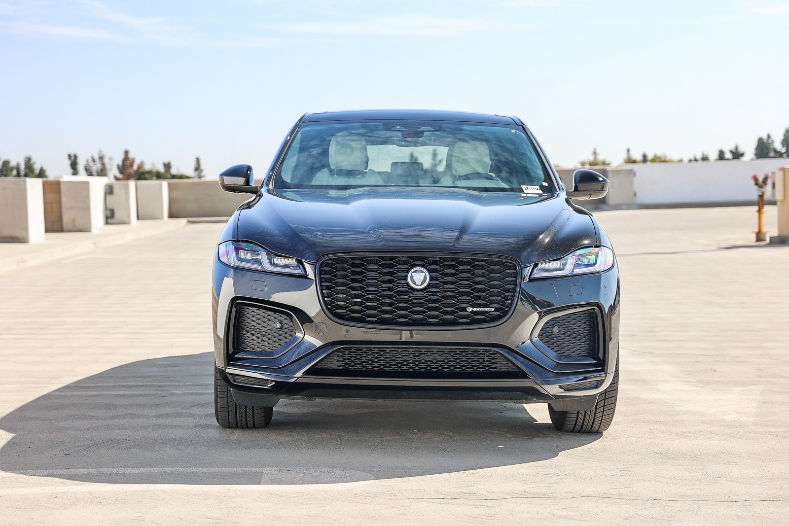 2024 Jaguar F-PACE P250 R-Dynamic S photo 2