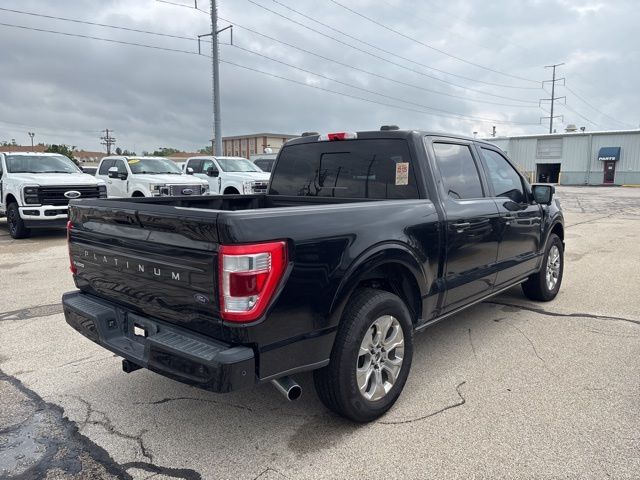 2021 Ford F-150 Platinum photo 3