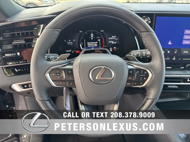 2025 Lexus RX 350 Premium photo 22
