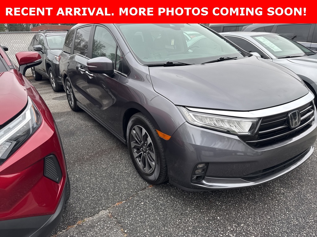 2024 Honda Odyssey EX-L's photo